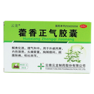 [云龙] 藿香正气胶囊 0.3g*12粒/盒 1盒装