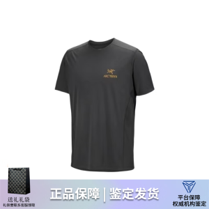 始祖鸟（ARC’TERYX）男士T恤 春夏舒适简约logo图案纯色男款羊毛圆领短袖上衣节日礼物 黑款速干X000007312 L