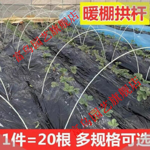 20根小拱棚支架拱杆竿大棚内棚套棚骨架玻璃纤维杆地膜园艺农用业 定制驰凌 4毫米粗1、2米长20根