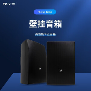 PHIXUSPhixus BG65壁挂音箱 高性能高保真专业音响 会议教室通用 带支架