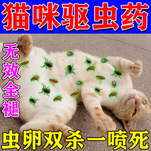 乔庆百虫净猫咪驱虫药内外百崇净驱虫片宠物祛除虫药虱子跳蚤蜱虫 3瓶装【猫狗通用】