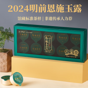 利川红立早2024明前新茶恩施玉露特级蒸青绿茶叶现货特级礼盒充氮小罐装