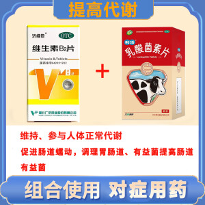 乳酸菌素片 益生菌加代谢片组合搭配100装片维生素b2抗糖成人男女通用便秘腹泻提高免疫力 调节肠胃【2+2