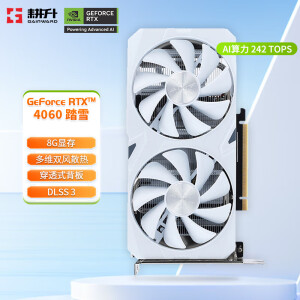 耕升（GAINWARD） GeForce RTX 4060 DLSS 3 台式机电脑光追吃鸡游戏渲染设计显卡 RTX 4060 踏雪8G