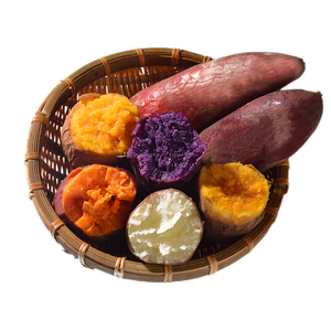 5kg 超甜红黄白紫心红薯流糖烤地瓜番薯山芋 【家庭装5斤】五彩蜜薯