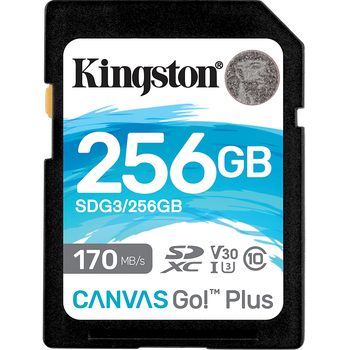 金士顿（Kingston）SD存储卡 高速相机内存卡单反微单sd卡 class10 U3 V30 SDG3/256G【读速170M/S 丨4K超清】