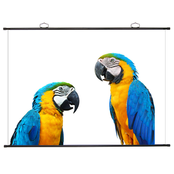 ȹ 120Ӣ 4:3/16:9/16:10ͨñڹĻ ׹ұĻ ͶӰĻ ͶӰĻ ͶӰĻ 