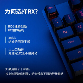 ROG玩家国度 游侠RX PBT版机械有线游戏键盘光学触发机械轴RGB背光键盘 防水防尘 ROG 游侠RX红轴 PBT