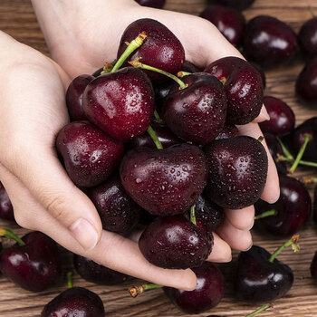 京鲜生 智利黑珍珠车厘子jjj级2kg礼盒装果径约30-32mm 年货水果礼盒