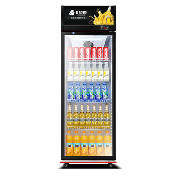 ܣBEIJIXIONGչʾعϹֱֱ䱣ʹвűʽơƹ »˪ں388L