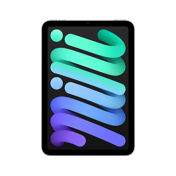 Apple/ƻŻݡiPadmini 8.3Ӣƽ 2021(256GB WLAN/MK7T3CH/A)ջɫ