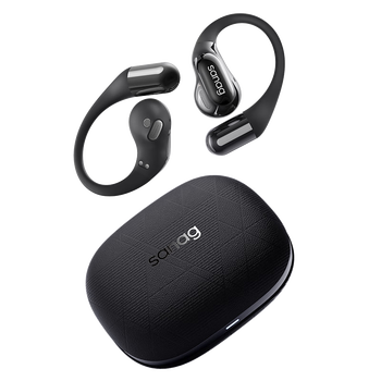 SANAGG9S AI ҶʽǴ˶ܲʽ߽ͬʵʱ¼