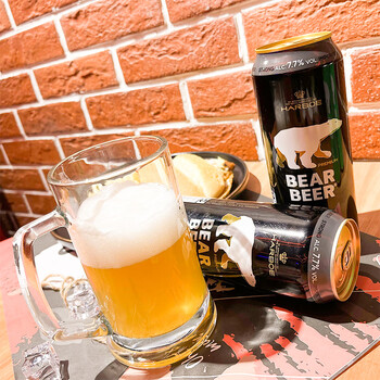 豪铂熊bearbeer烈性啤酒500ml24听整箱装德国原装进口年货送礼