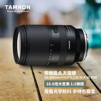 腾龙（Tamron）B061S 18-300mm F/3.5-6.3 Di III-A VC VXD防抖远摄大变焦（索尼APS-C专用E口）圣诞礼物 送礼