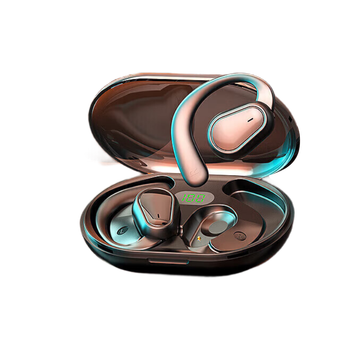 ֡2025¿|֮ Ҷʽ߹Ǵʽ˶ֽܲôʹ/©