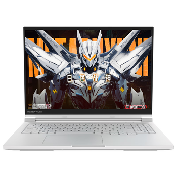 16N 16ӢϷʼǱ(20%)13i7 16G 512G RTX4060Ѫ 240Hz 100%DCI-P3