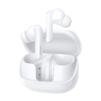 T6 MagicҲʽܴ볤ƻΪС׽WS211