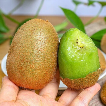 陕西周至徐香绿心猕猴桃新鲜水果奇异果精品果15枚精选中小果