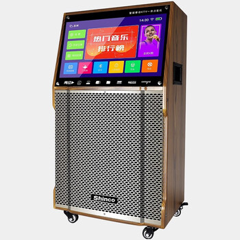 ¿ƣShincoA1 㳡ʾĻƶKTVƵԴһֱ