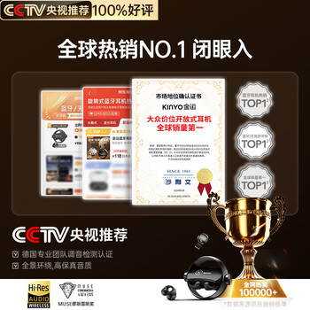 金运【两幅耳机丨双重体验】蓝牙耳机骨传导概念无线耳夹半入耳式电竞游戏超长续航大电量高端两副 静谧黑【热销第一】