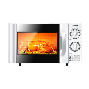 ˣGalanz ΢¯ 20L ť  Сת̼΢¯ D4