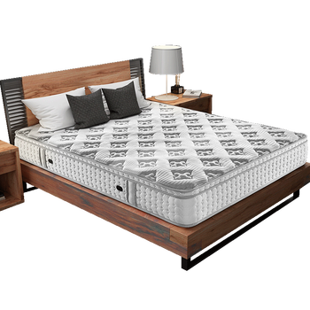 穗宝symbol椰棕垫记忆棉厚床垫独立弹簧床垫席梦思软硬两用梦旅人图片