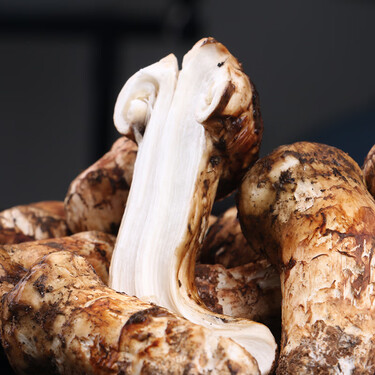 云南白药鲜松茸菌菇云南特产香格里拉产地松茸7cm以上家庭装 顺丰