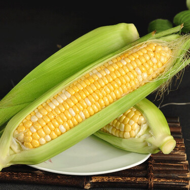 5kg 鲜食玉米 甜糯玉米棒 早餐小龙虾烧烤食材 新鲜蔬菜