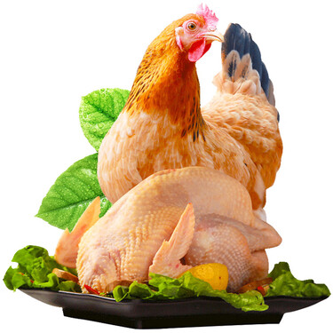 [莘县馆]三黄鸡农家走地鸡 土鸡仔 土鸡肉生鲜 新鲜现杀鸡肉 约700g