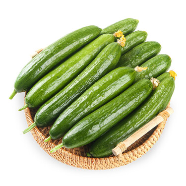 京地达 山东水果小黄瓜青瓜新鲜水果蔬菜健康轻食 严选5斤装