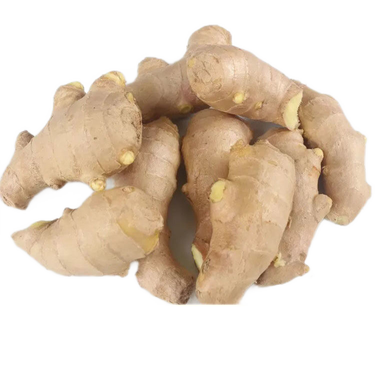 乡秀才山东大姜生姜老姜鲜姜新鲜姜块深井窖藏现挖现发 三斤装