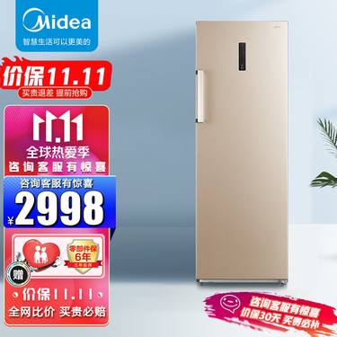 升风冷无霜立式侧开门单温冷冻柜冷藏保鲜柜一级节能冰箱bd/bc-240we