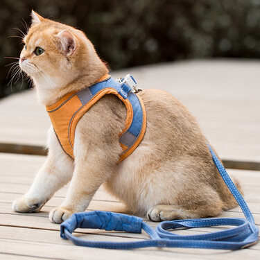 遛猫绳子狗链子遛狗绳子溜猫链猫咪胸背带狗狗宠物用品 背心式牵引绳m