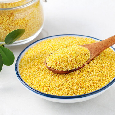 蒙田 新米 黄小米 吃的小米粥 米饭五谷杂粮 内蒙古赤峰小米大金苗