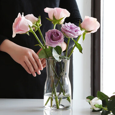 高斯透明水晶玻璃花瓶北欧式创意大干花富贵竹餐桌水培水养客厅插花