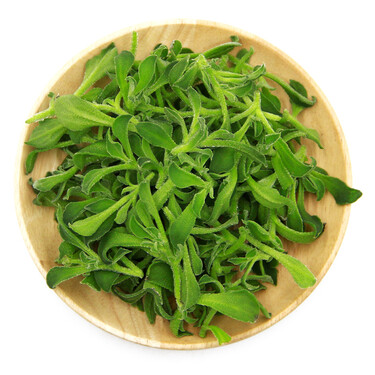 青椒 菜椒 柿子椒 500g 灯笼椒 沙拉菜 产地直供 烧烤食材 新鲜蔬菜