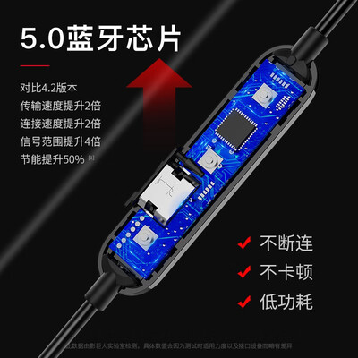 口碑解读兰士顿d4和d5有什么区别？评测质量好不好
