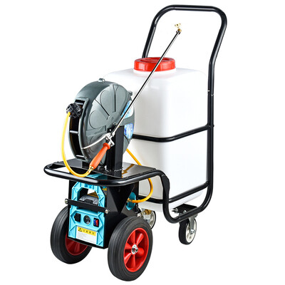 大登手推式打药机电动高压农用本田动力汽油机喷雾器充电打农药打药车