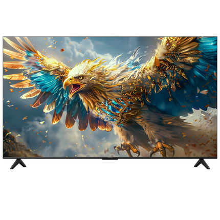 TCL雷鸟 鹏6SE 一级能效版 75英寸 家电国家补贴 120Hz MEMC防抖 2+32GB 智能平板电视机75S365C-JN