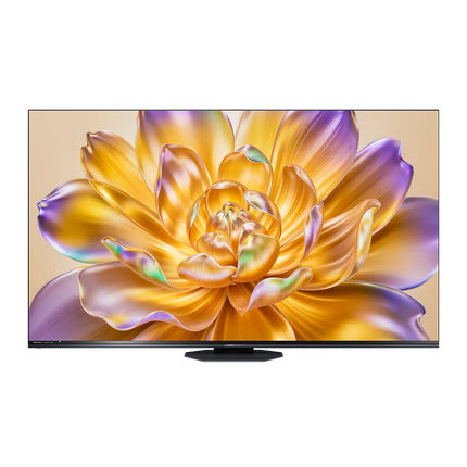 海信电视E8Q 65英寸 信芯H6 U+MiniLED 黑曜屏 首发300Hz高刷 帝瓦雷音响 E8NPRO升级 政府补贴65E8Q