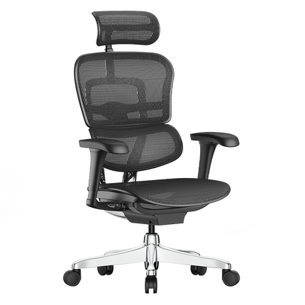 812.5元 Ergonor 保友办公家具 金豪B 人体工学电脑椅