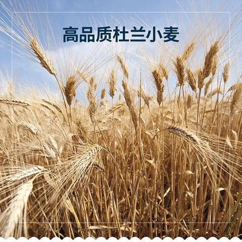 百味来Barilla意大利进口螺旋形意大利面500g低脂高蛋白儿童意面 图片 4