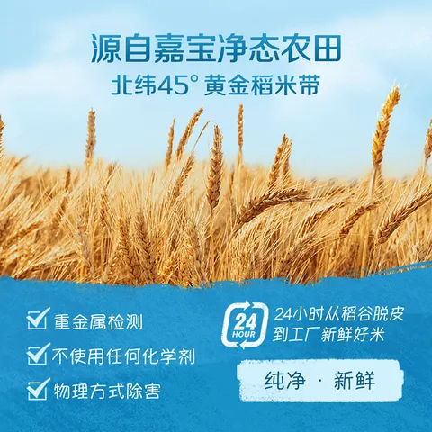 嘉宝（GERBER）强化钙铁锌高铁米粉婴幼儿宝宝辅食米糊维C+铁250g6月+100%真验厂 图片 5