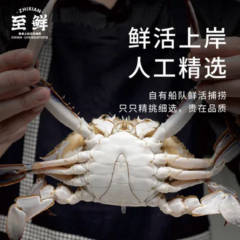 【冷冻】至鲜梭子蟹2.6斤/6-9只整只当季液氮冷冻2.5-5两/只吕四黄海螃蟹新鲜中秋礼 图片 2