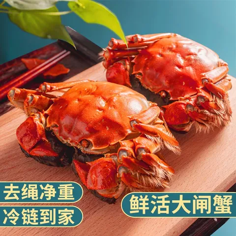 【活蟹】乾澄大闸蟹现货 全母蟹2.3-2.6两  6只 净重鲜活螃蟹海鲜生鲜中秋礼盒 图片 5