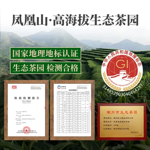 甘露大师凤凰单枞茶抽湿鸭屎香抽湿大乌叶乌岽单丛100g传承系列 图片 6