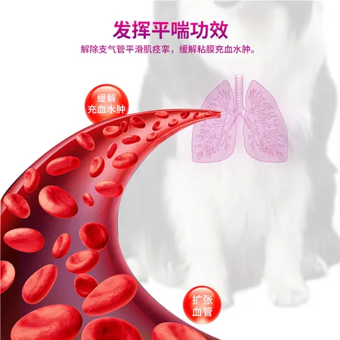 VIPET宠物平喘药氨茶碱片狗狗强心利尿猫咪缓解气喘唯宠宠喘康100mg/片 氨茶碱 20片*1盒 宠喘康（猫狗平喘） 图片 4