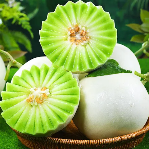 京觅山东玉菇冰淇淋甜瓜 净重4.5-5斤单果750g起新鲜水果源头直发包邮 图片 4