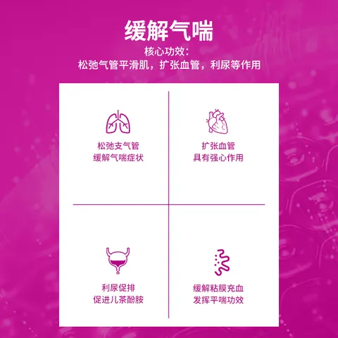 VIPET宠物平喘药氨茶碱片狗狗强心利尿猫咪缓解气喘唯宠宠喘康100mg/片 氨茶碱 20片*1盒 宠喘康（猫狗平喘） 图片 3