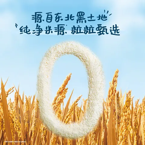 嘉宝（GERBER）婴幼儿高铁米粉维C加铁原味宝宝辅食米糊250g6-12个月 100%真验厂 图片 5